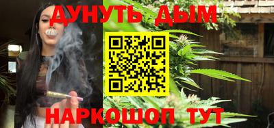 дмт Гатчина