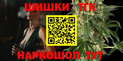 дмт Гатчина