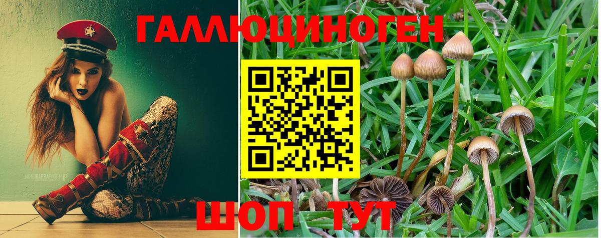 Галлюциногенные грибы мухоморы Пыть-Ях
