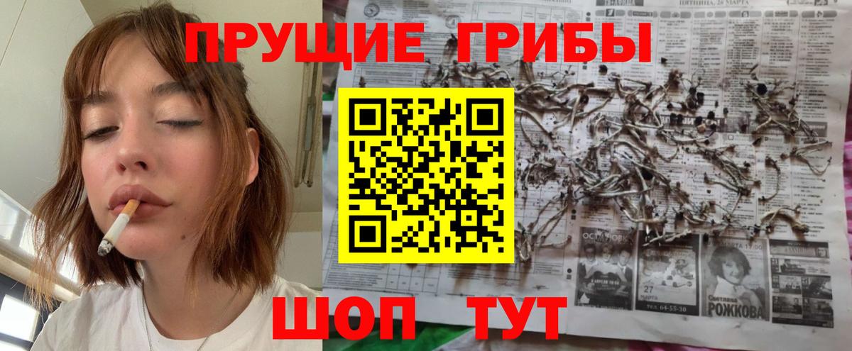 Псилоцибиновые грибы мухоморы  Вход с VPN  Псилоцибиновые грибы прущие грибы  Пыть-Ях 